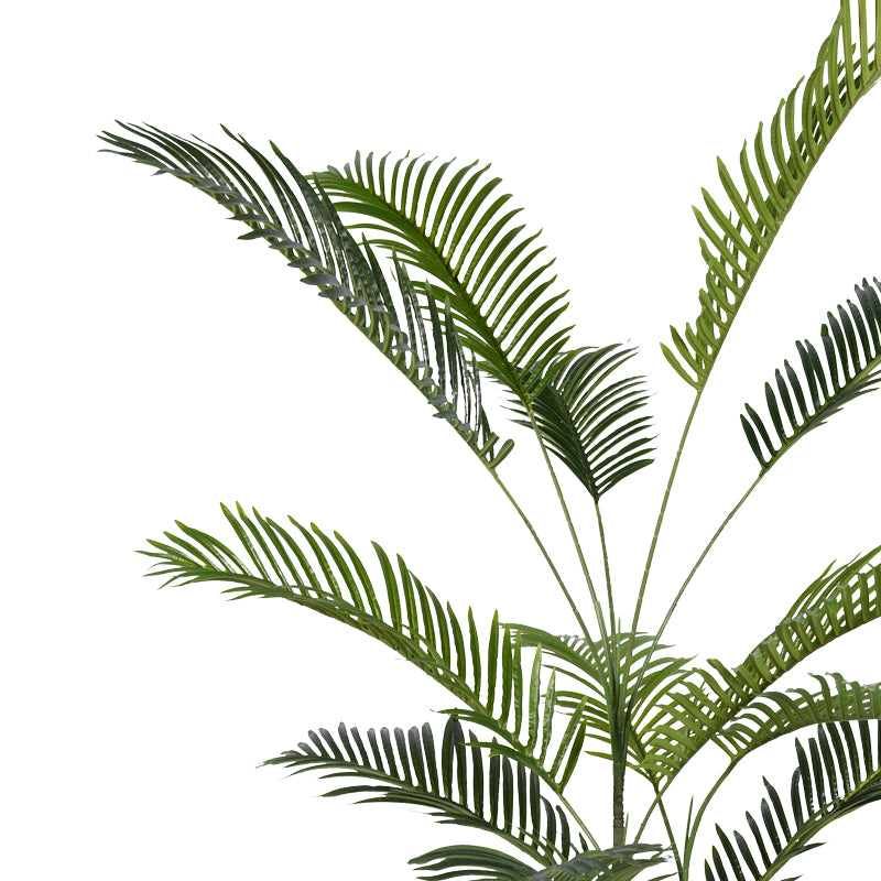 Декоративно растение Areca III во тенџере  зелено pp H180cm