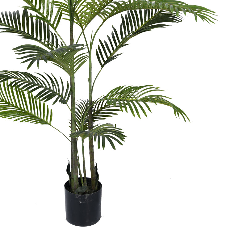 Декоративно растение Areca III во тенџере  зелено pp H180cm