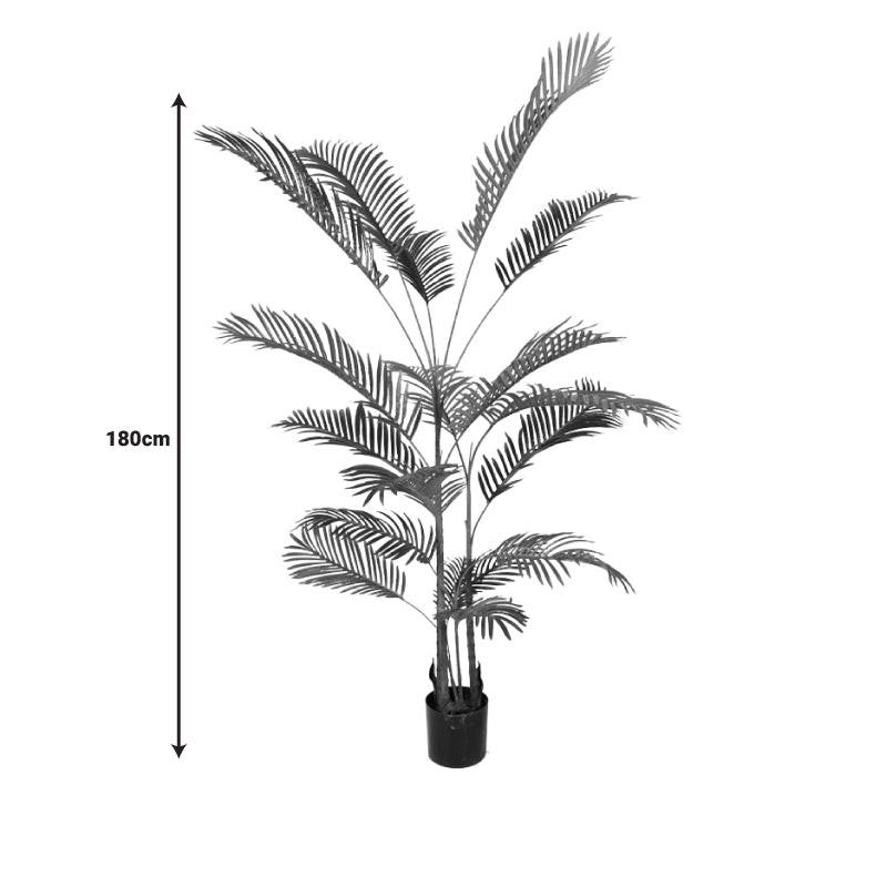 Декоративно растение Areca III во тенџере  зелено pp H180cm