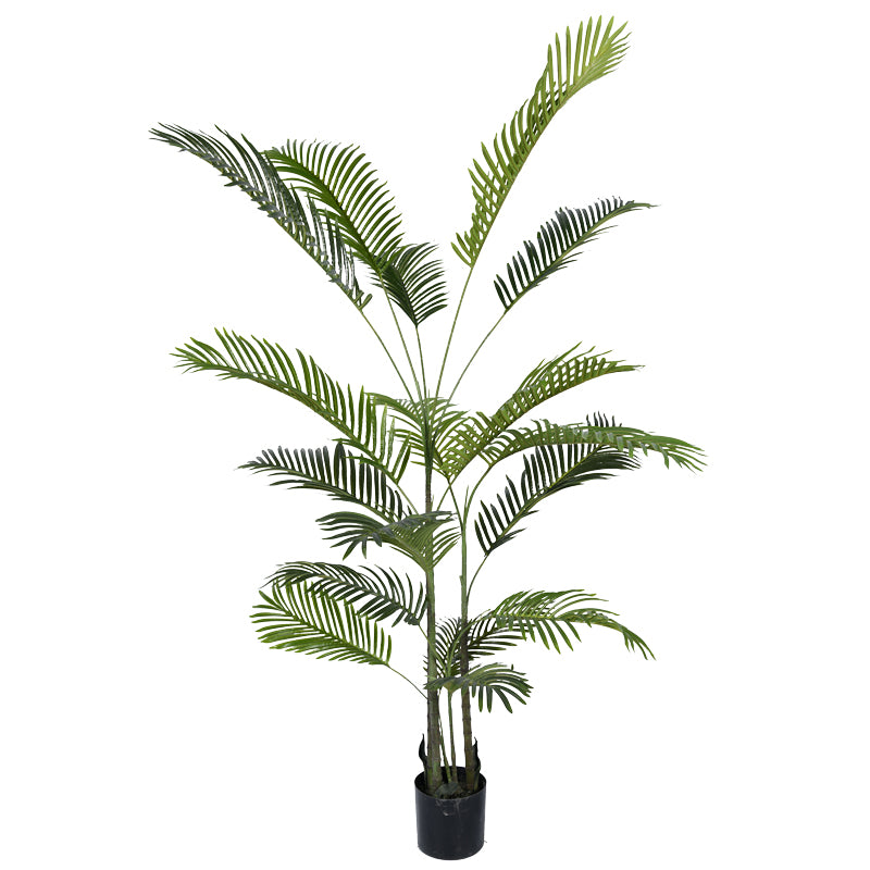 Декоративно растение Areca III во тенџере  зелено pp H180cm