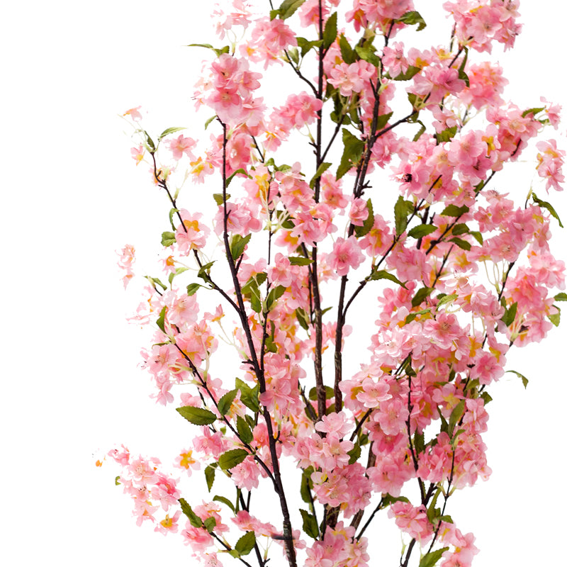 Декоративно растение Цвет праска во саксија  pink pp H140cm