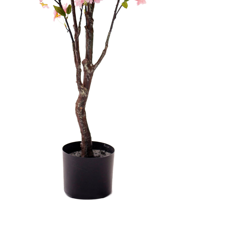 Декоративно растение Цвет праска во саксија  pink pp H140cm