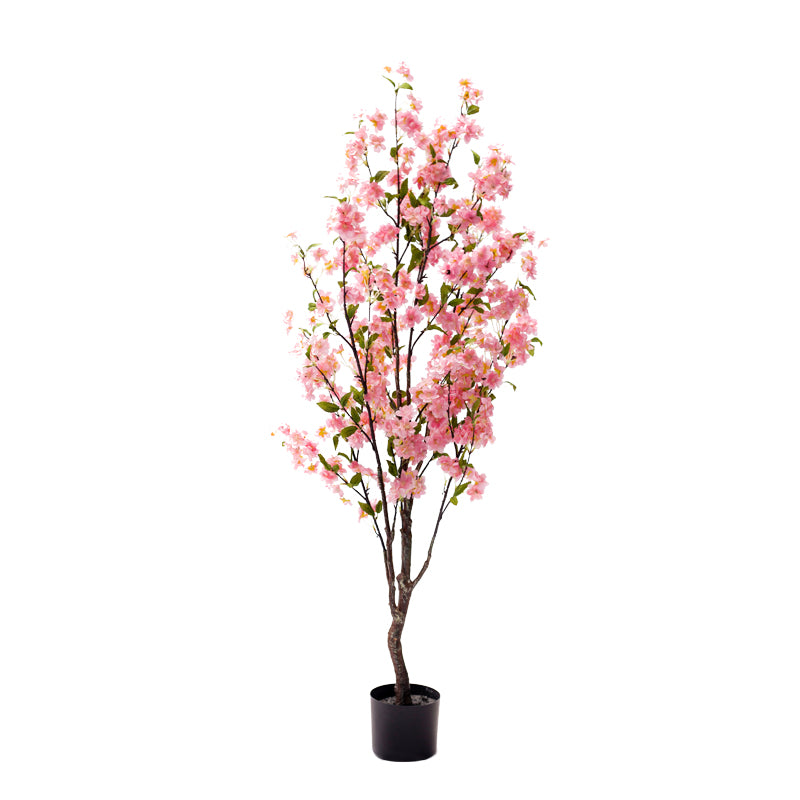Декоративно растение Цвет праска во саксија  pink pp H140cm