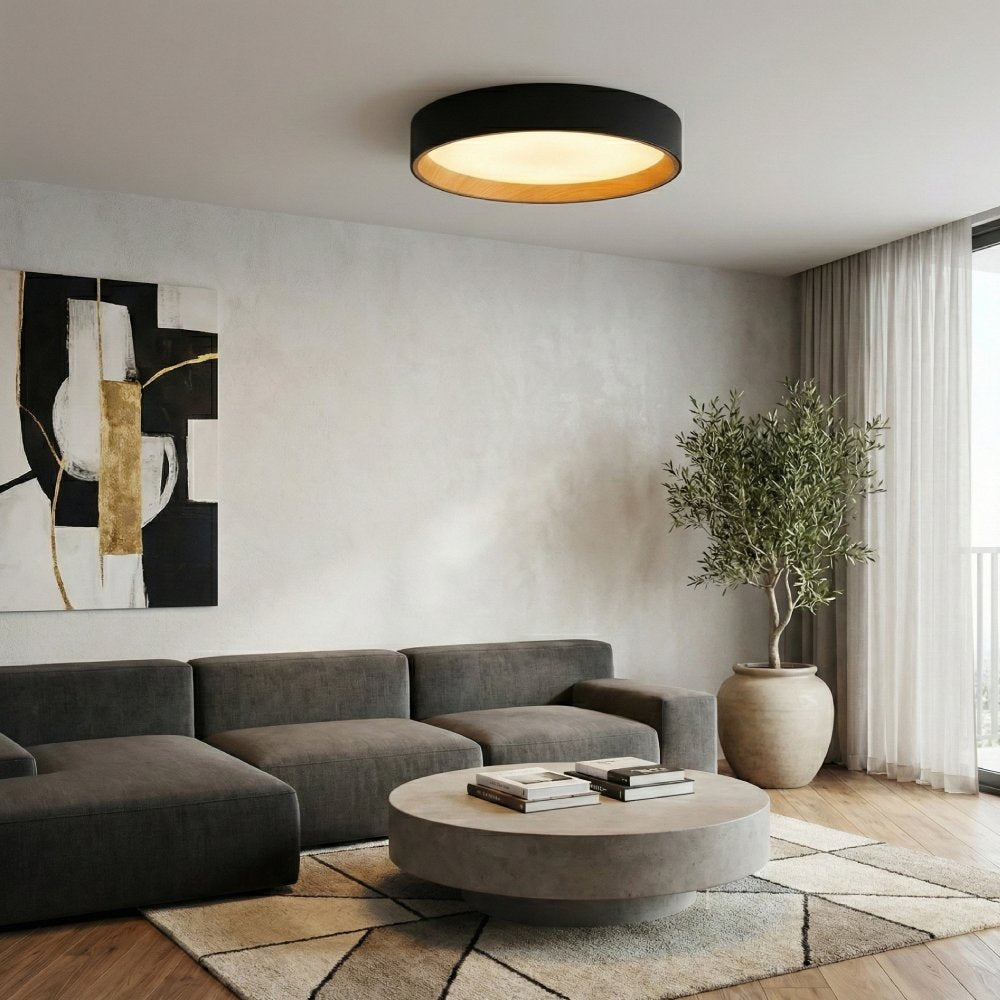 Larkson - Црна ЛЕД Плафонерка 36w 3color - Ф50cm